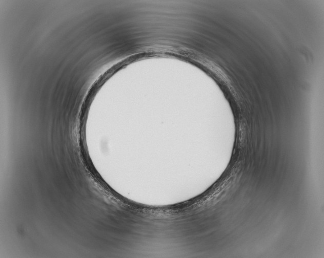 X0000112211020200909181549