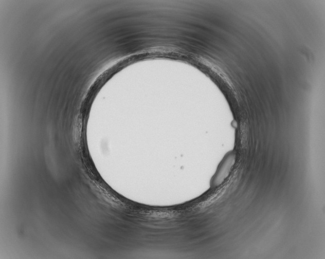 X0000112211021200909181549