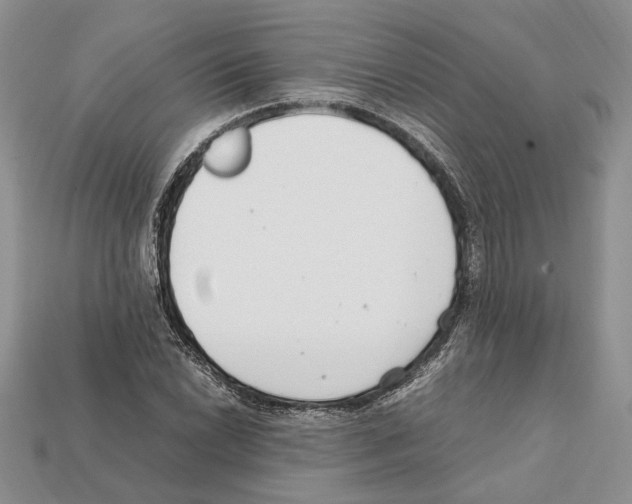 X0000112211022200909181549