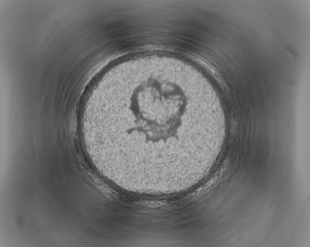 X0000112211023200909181549