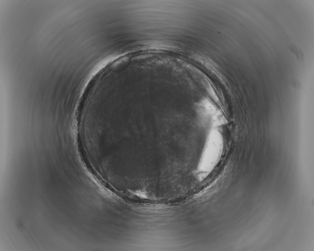 X0000112211024200909181549