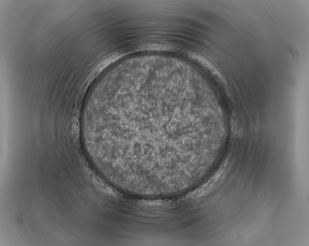X0000112211025200909181549