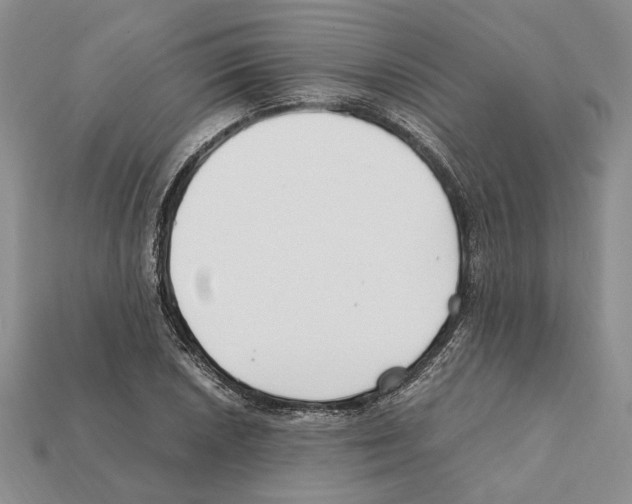 X0000112211026200909181549