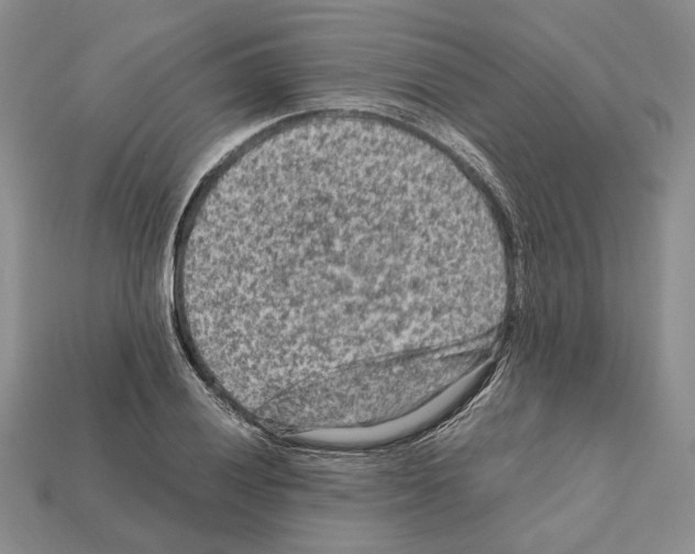 X0000112211028200909181549