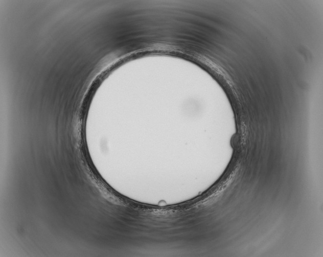 X0000112211029200909181549