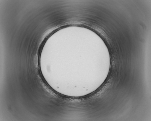 X0000112211030200909181549