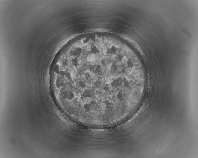 X0000112211031200909181549
