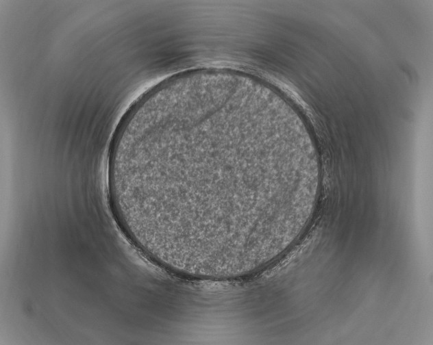 X0000112211032200909181549