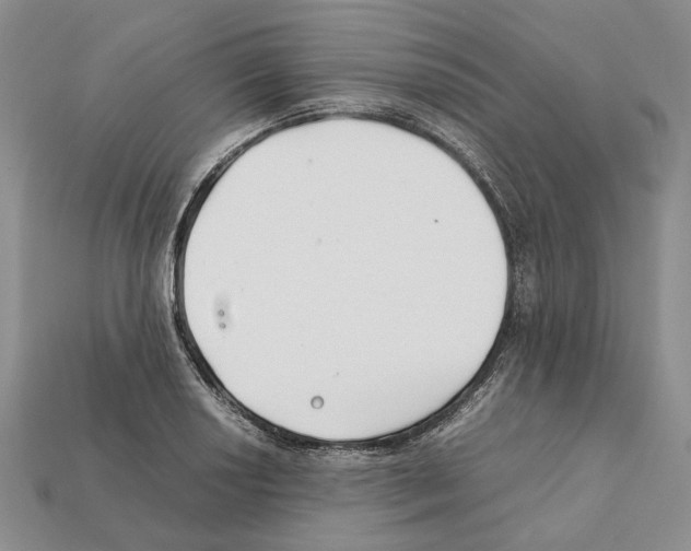 X0000112211034200909181549