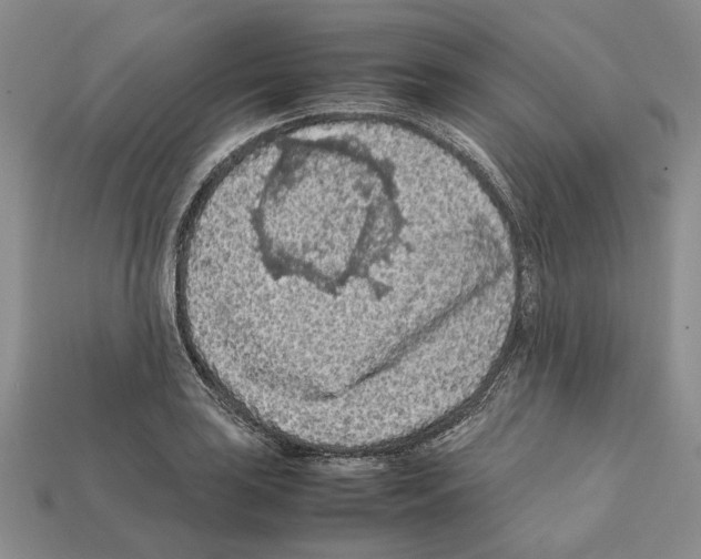 X0000112211035200909181549