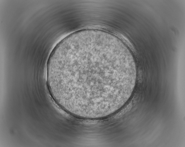 X0000112211036200909181550
