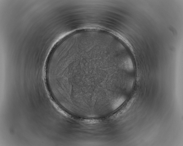 X0000112211037200909181550