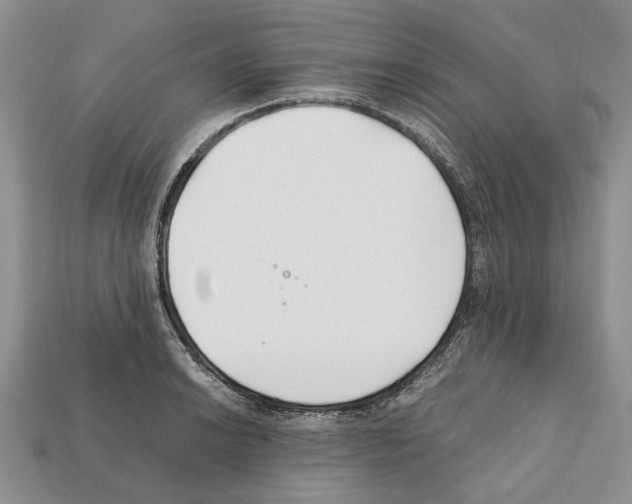X0000112211038200909181550