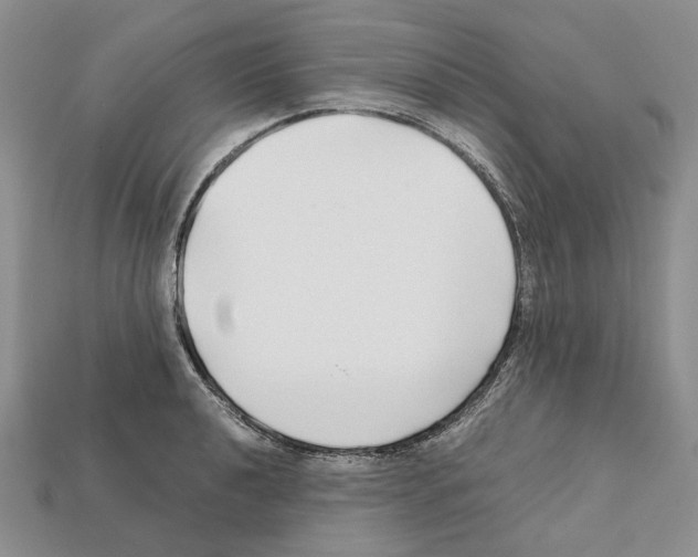 X0000112211040200909181550
