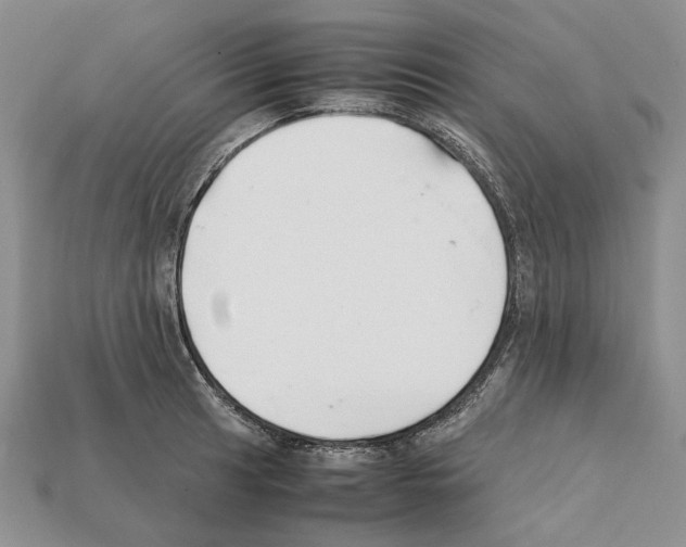 X0000112211041200909181550