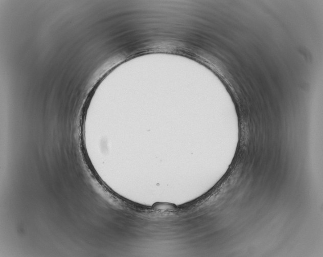 X0000112211042200909181550
