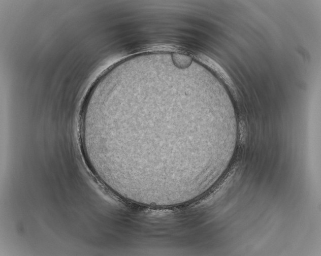 X0000112211043200909181550