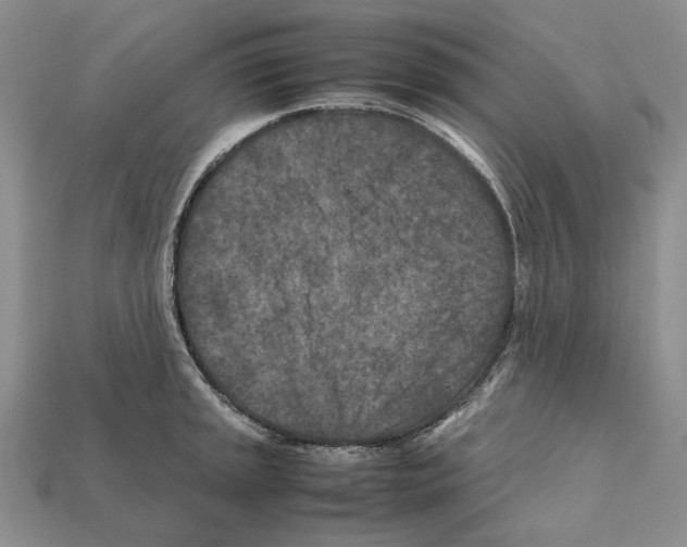 X0000112211045200909181550
