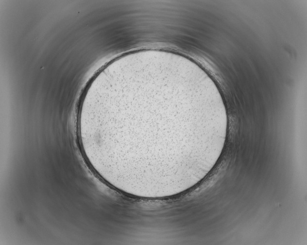 X0000112211046200909181550