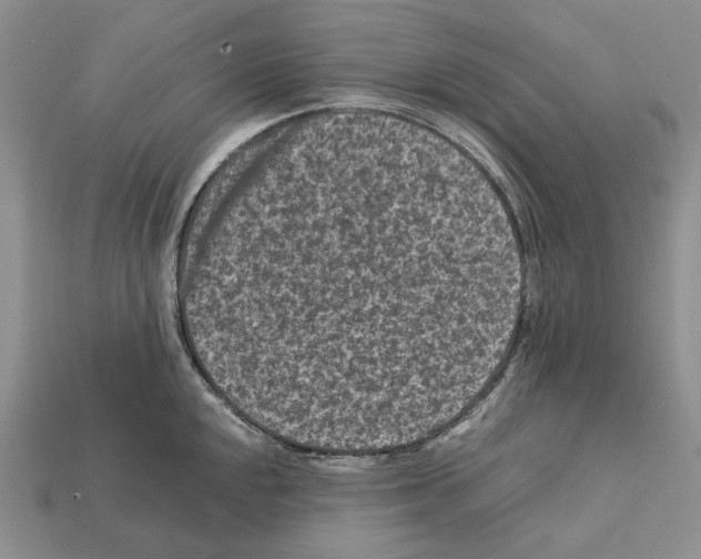 X0000112211048200909181550