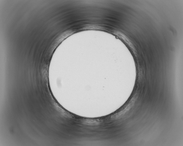 X0000112211049200909181550