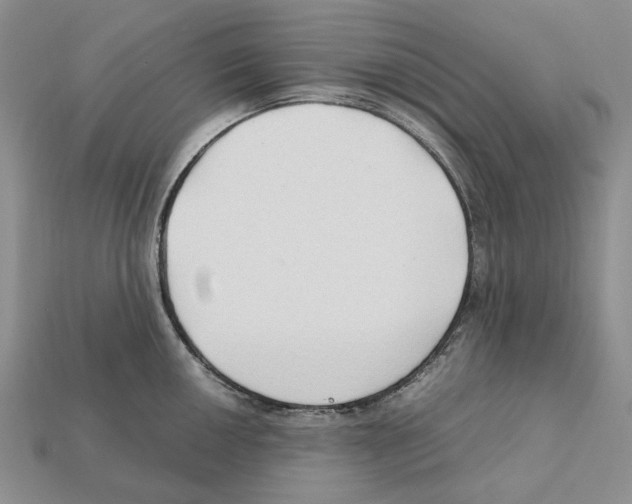 X0000112211050200909181550