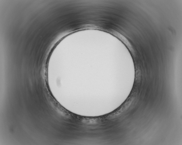 X0000112211051200909181550