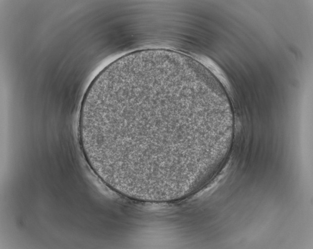 X0000112211052200909181550