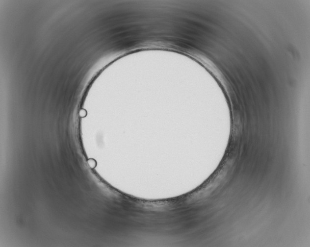 X0000112211053200909181550