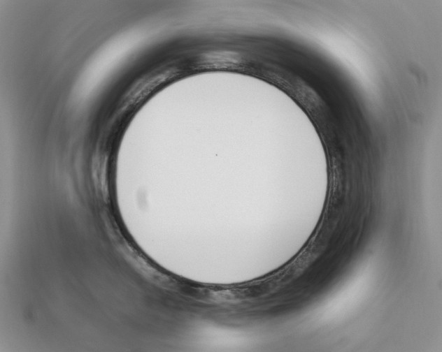 X0000112211054200909181550