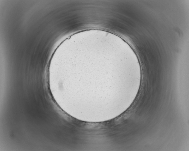X0000112211056200909181550