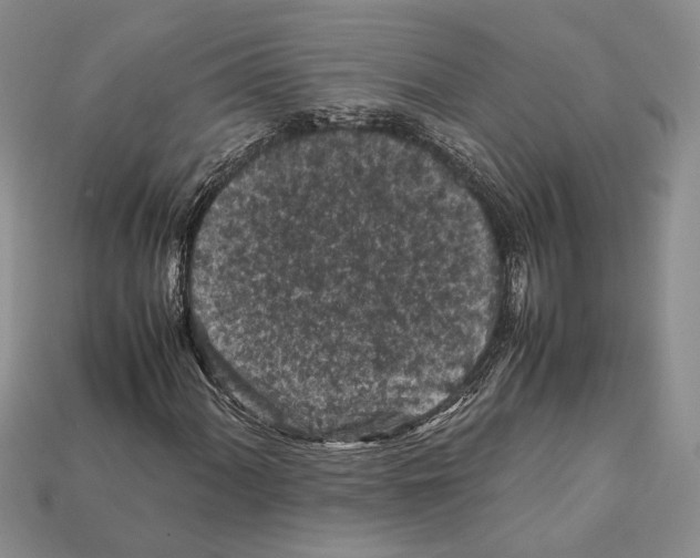 X0000112211060200909181549