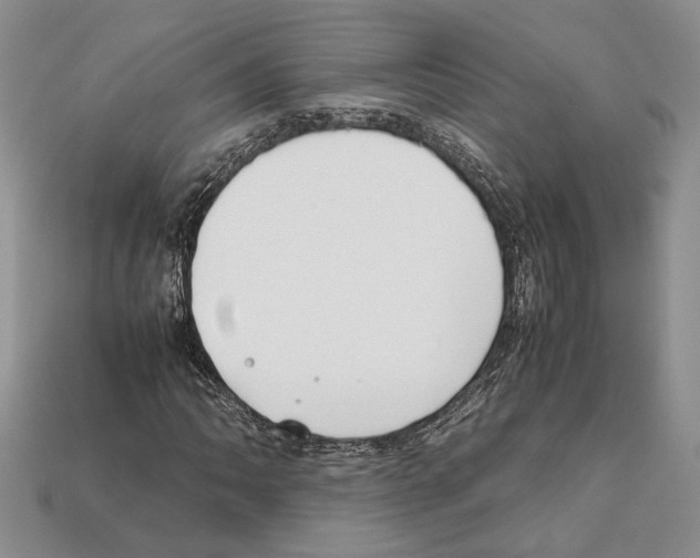 X0000112211062200909181549