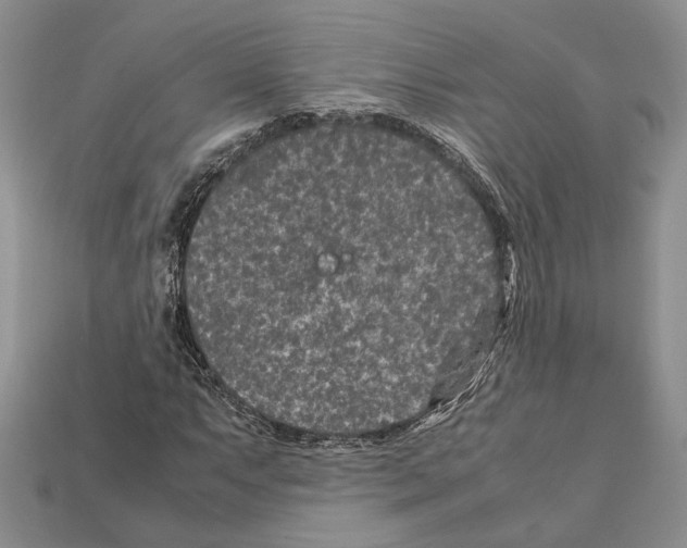 X0000112211063200909181549