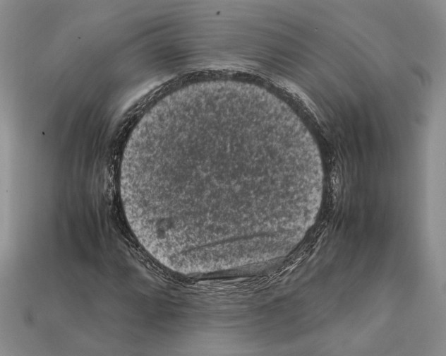 X0000112211064200909181549