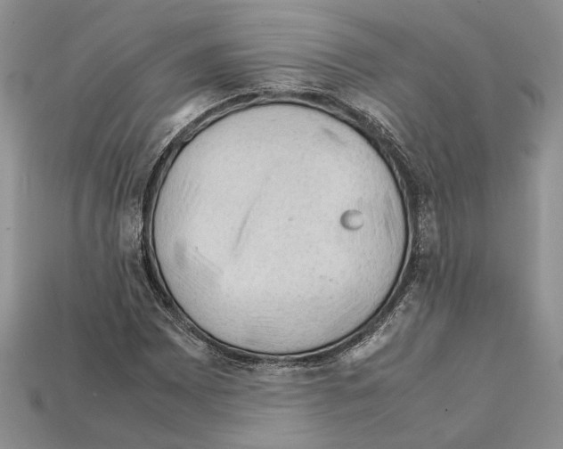 X0000112211065200909181549