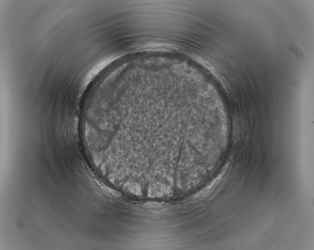 X0000112211066200909181549