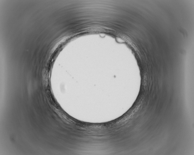 X0000112211067200909181549
