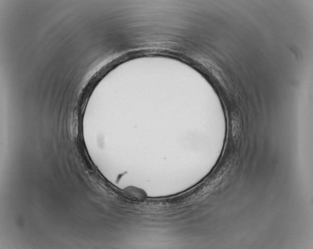 X0000112211069200909181549