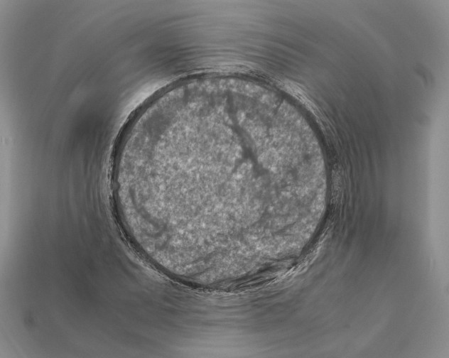 X0000112211071200909181549