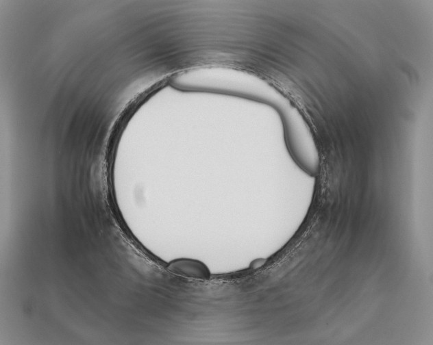 X0000112211072200909181549