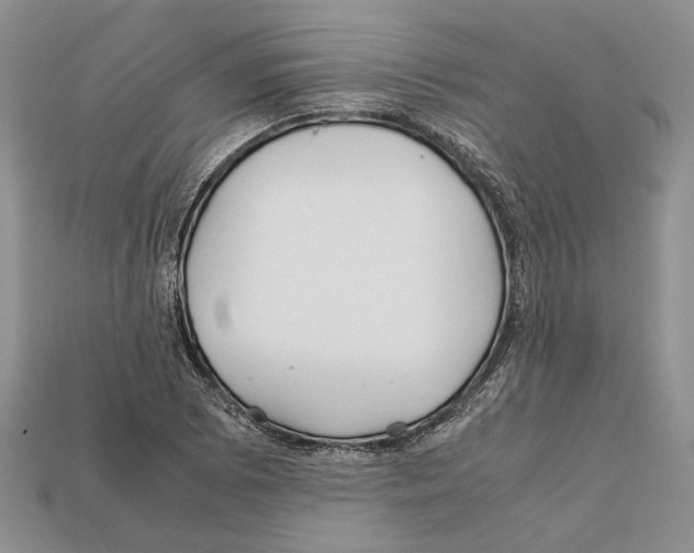 X0000112211073200909181549