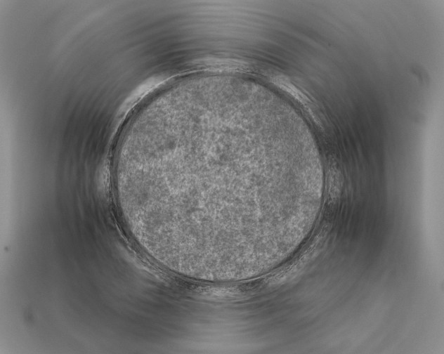 X0000112211074200909181549