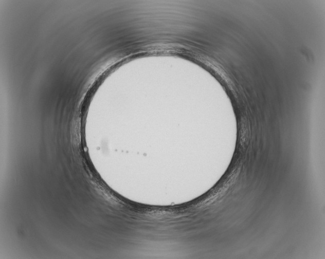 X0000112211075200909181549