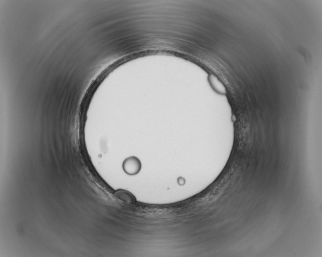 X0000112211076200909181549