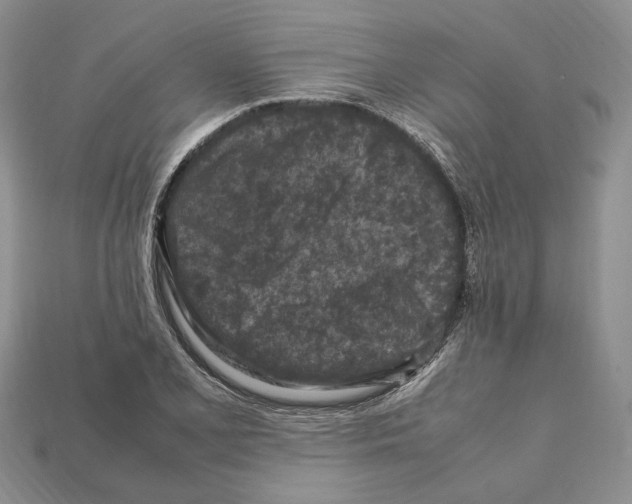 X0000112211077200909181549