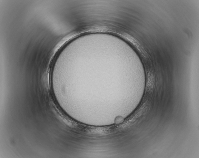 X0000112211078200909181549