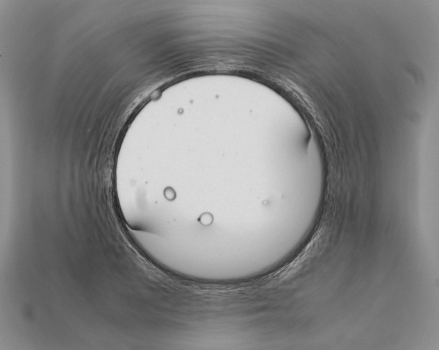 X0000112211081200909181549