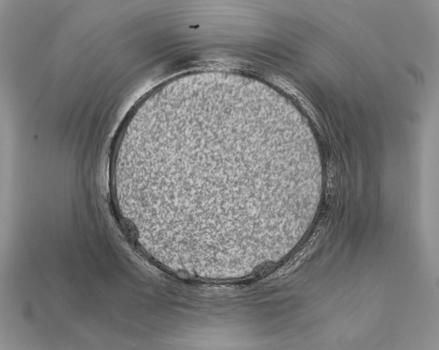 X0000112211083200909181549