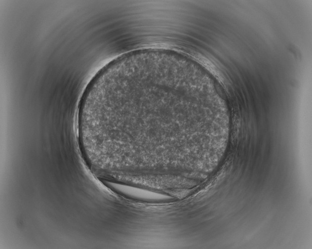 X0000112211084200909181549